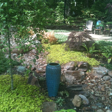 Shade Garden
