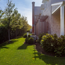 Beach House Landscape