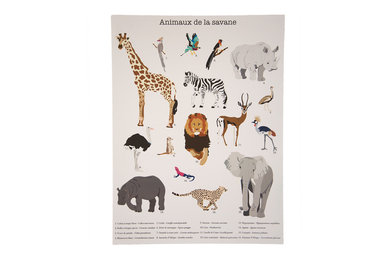 Poster planche scientifique Les animaux de la savane