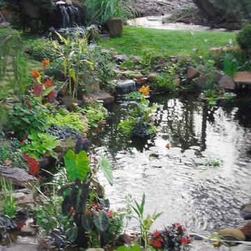Water Features