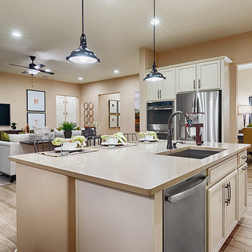 Delaney model home in Arizona