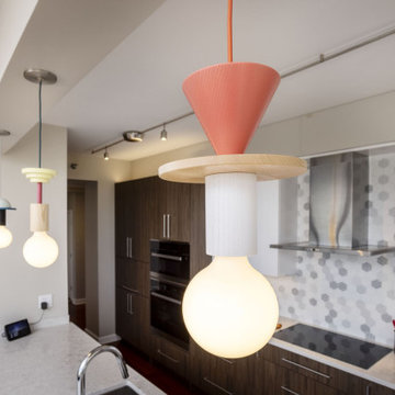South Loop Highrise Kitchen Renovation