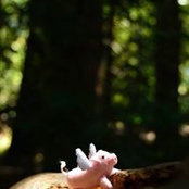 Mary Poon's photo