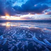 Tracey Nolan's photo