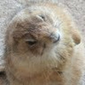 Bonnie Presser's photo