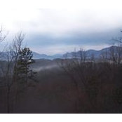 Pat Tallent's photo