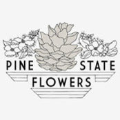 pine state Flowers's photo