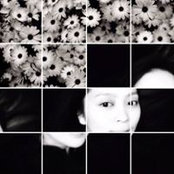 Rachel Chin's photo
