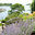 McLoughlin Landscapes