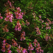 Brooks Klepper's photo