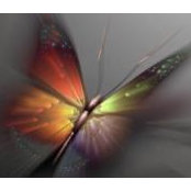 Donnamarie Randolph's photo