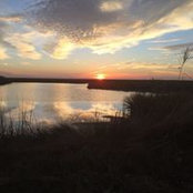 Kent Hannegan's photo
