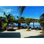 Katrina Bochy's photo