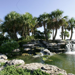 Coastal Gardens Landscape Services, Inc. - Bradenton, FL, US 34203