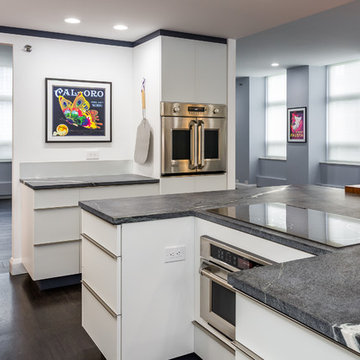 Lake Shore Drive Contemporary Gut Renovation