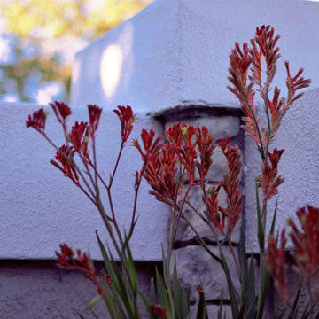 Front Yard Inspiration: Low Maintenance Design Ideas