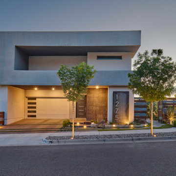 Contemporary Curb Appeal & Outdoor Living