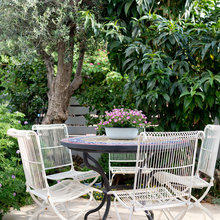 Patio Dreams
