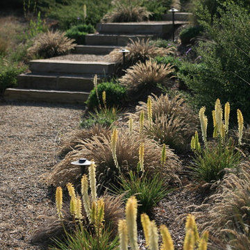 Residential & Estate Projects