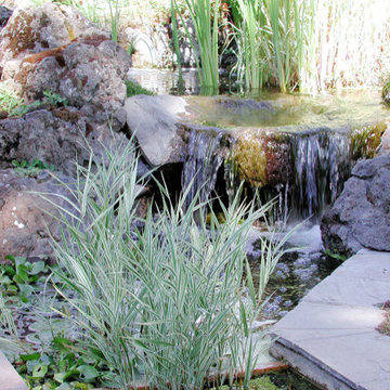 Natural Water Fall