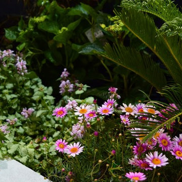 Home and Leisure Show, Canberra, 2015