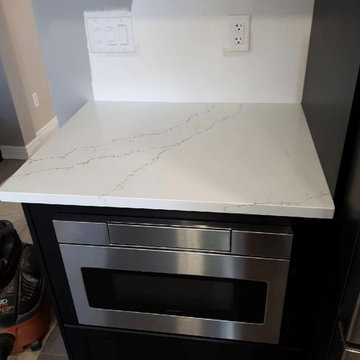 Everest Statuary Fine Vein Quartz