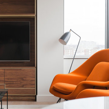 Mid-Century Modern Apartment