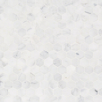 Calacatta Cressa 2Hexagon Honed Marble 2 Hexagon Marble