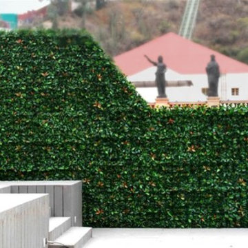 Ranka Lasting Greenery