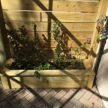 Baltimore Backyard