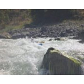 Laureta Boychuk's photo