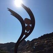 Terri Good's photo