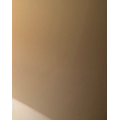 Ns