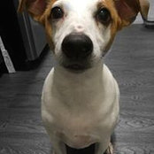 Edward Lee's photo