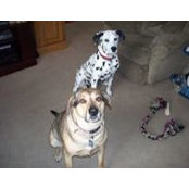 Fran White Ganley's photo
