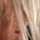 bo_cederquist