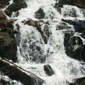 Foto von Barbara Peek
