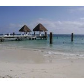 Lois Mercado Wilberding's photo
