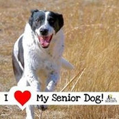Nancy Milka's photo