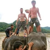 Andrew McLean's photo