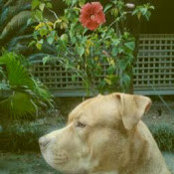 Maggie Murphys foto