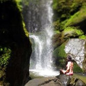 Kelly Bateson's photo