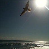 Kathrine Picard's photo