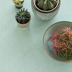 Vivid Wallpaper Collection - Wallpaper