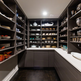 На фото: п-образные кухни среднего размера в современном стиле с кладовкой, плоскими фасадами, серыми фасадами, столешницей из кварцевого композита, темным паркетным полом, черным полом и белой столешницей без острова