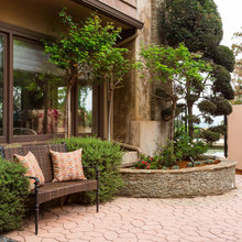 Front yard