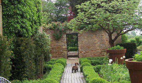 12 Surprising Facts About UK Gardens and What We Do in Them