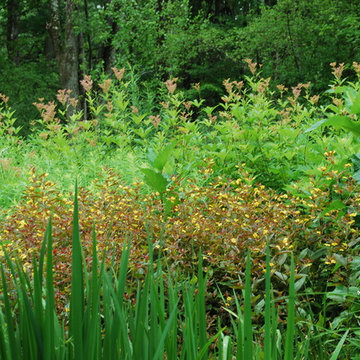 James Golden's Garden at Federal Twist