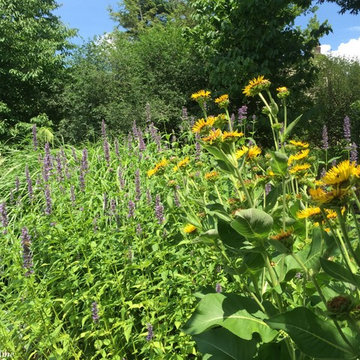 Half-Acre Garden in Towson, MD