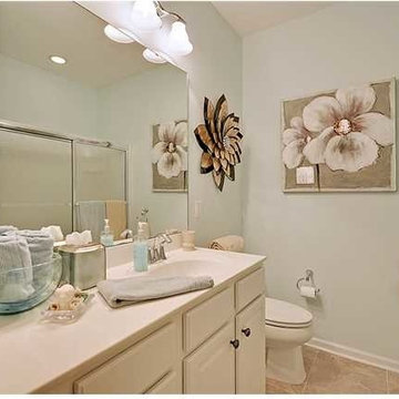 Guest bath and Accents